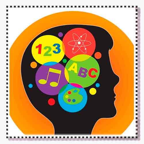 анализ сайта по интеллектуальной собственности