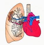 Способ оценки зонального кровотока легких (поиск) Способ оценки зонального кровотока легких (поиск)