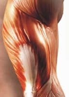 Способ развития быстроты мышечных сокращений (поиск) Способ развития быстроты мышечных сокращений (поиск)